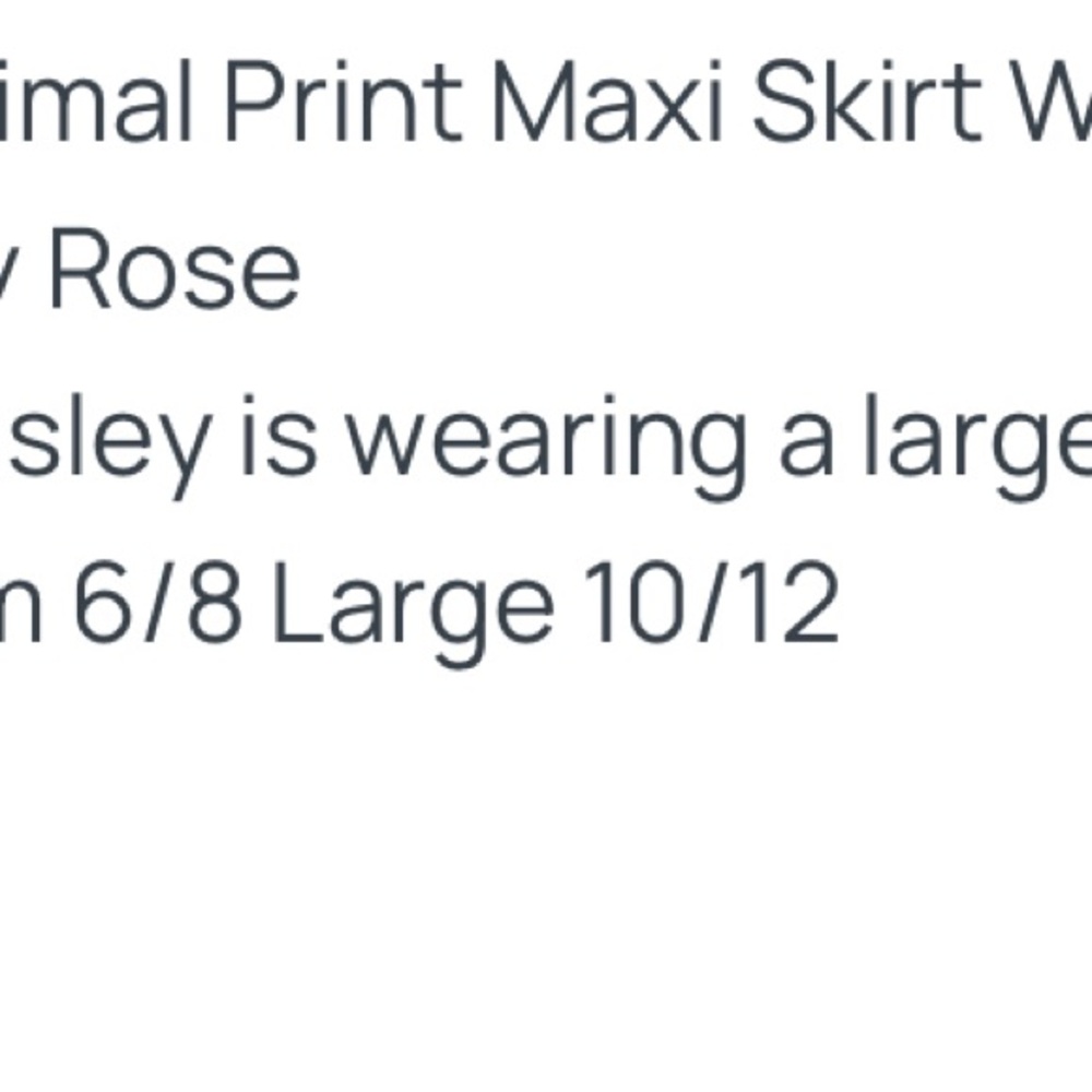 Leopard Print Midi Skirt - Picture 2 of 2